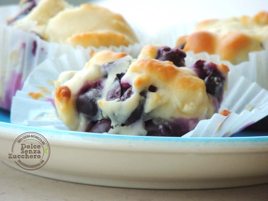 Muffin con Mirtilli (6)