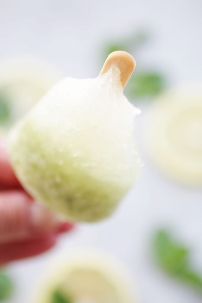 Ghiaccioli al limone (9)