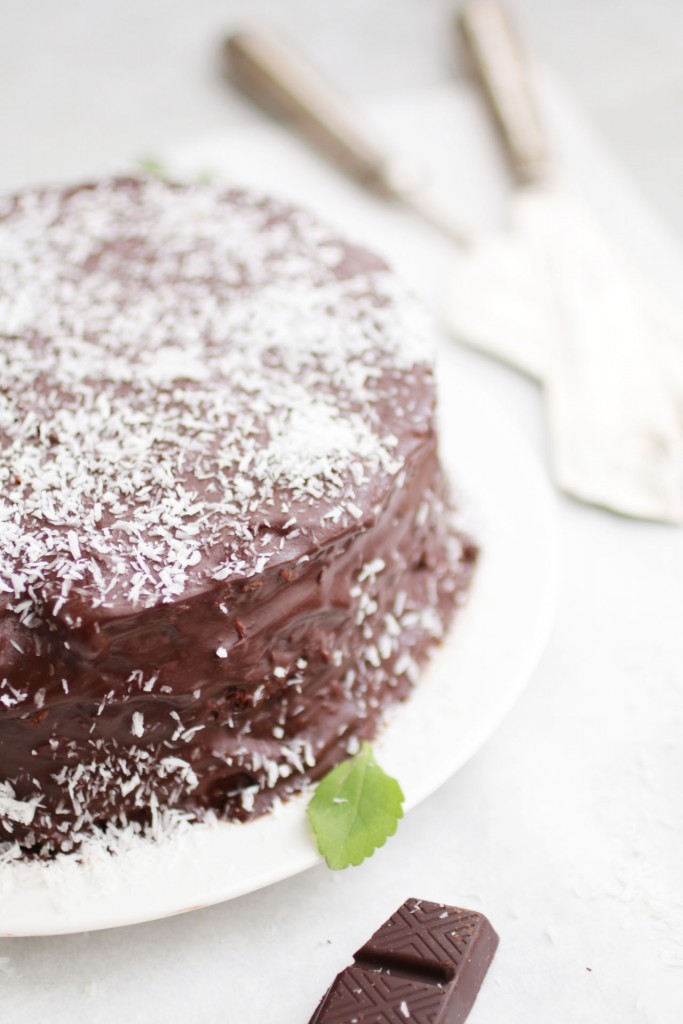 Torta al cocco_Dolce Senza Zucchero (1)