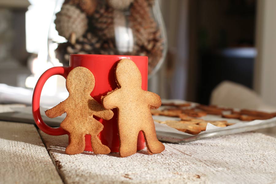 Biscotti Pan di Zenzero Senza Zucchero