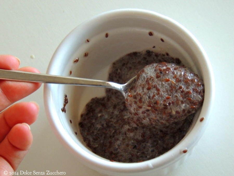 Gel di Semi di Psillio