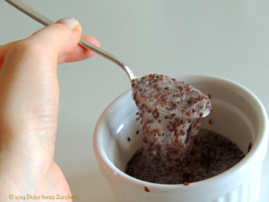 Gel di Semi di Psillio