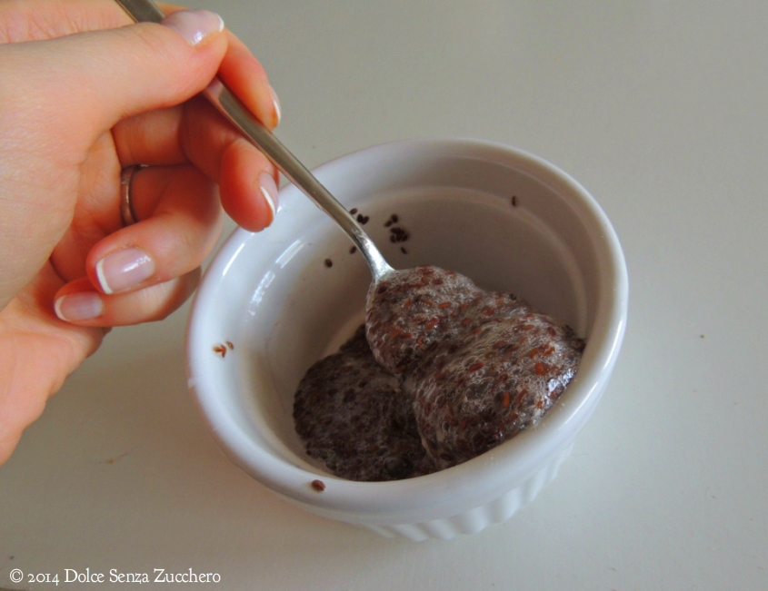 Gel di Semi di Psillio