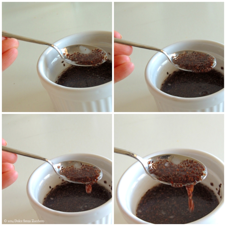 Gel di Semi di Psillio